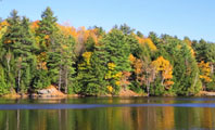 Image depicting Central Canada