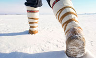Image depicting Northern Canada