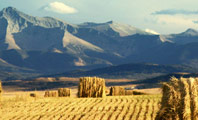 Image of Alberta