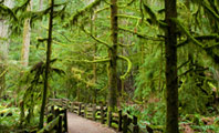 Image of British Columbia