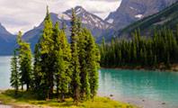 Image of Jasper
