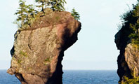 Image of New Brunswick