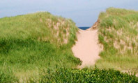 Image of PEI