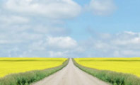 Image of Saskatchewan