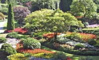 Image of Victoria